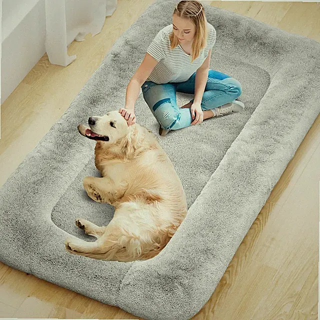 Oversized Foam Dog Bed for Adults - 79"x45"x12" Comfort for You and Your Pet