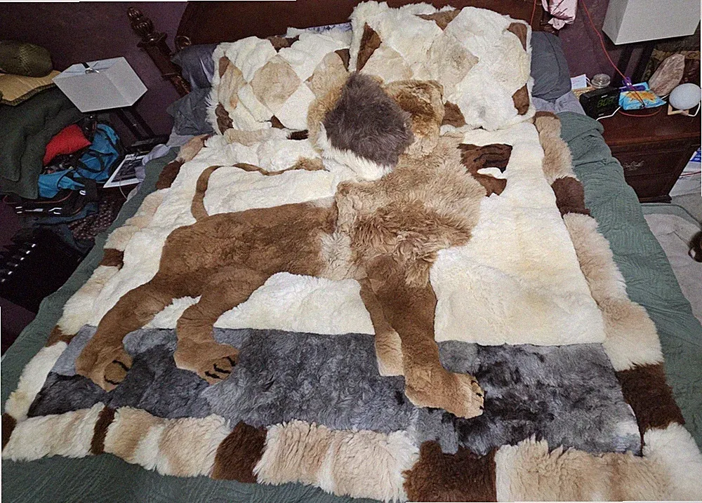 Peru Alpaca Fur Bedding. Includes Lion Cover, 3 Throw Pillows, 2 Shams.$1300 OBO